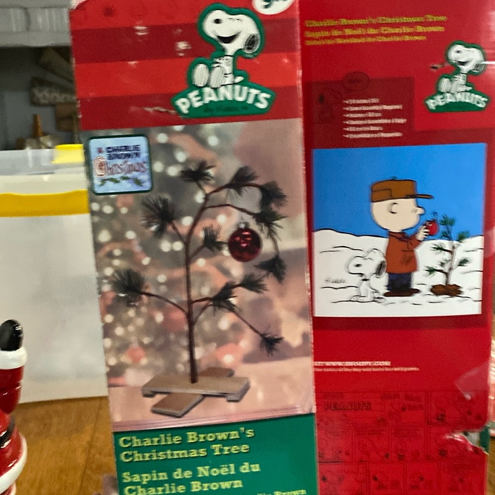 2 Charlie Brown Christmas